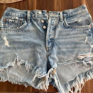Agolde Parker Vintage Cut Off Shorts